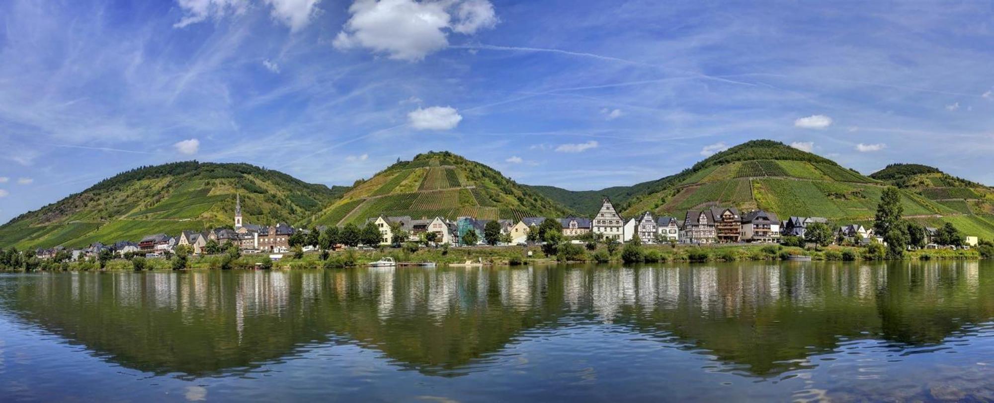 Springiersbacher Hof エディガー・エラー エクステリア 写真